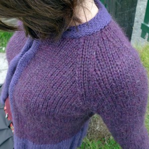 Peysufatapeysa: détail raglan (option 2)