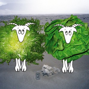 Le secret de la vinaigrette dévoilé aux Islandais
