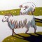 Retour d'Islande: moutons islandais