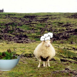 Le secret de la vinaigrette dévoilé aux Islandais