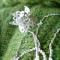 Robe de printemps - Glinglo