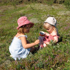 Cueillette de myrtilles