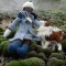 Smali le chien islandais et Olivia la poupée