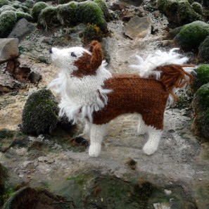 Smali le chien islandais