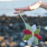 Rose des vents d'Islande