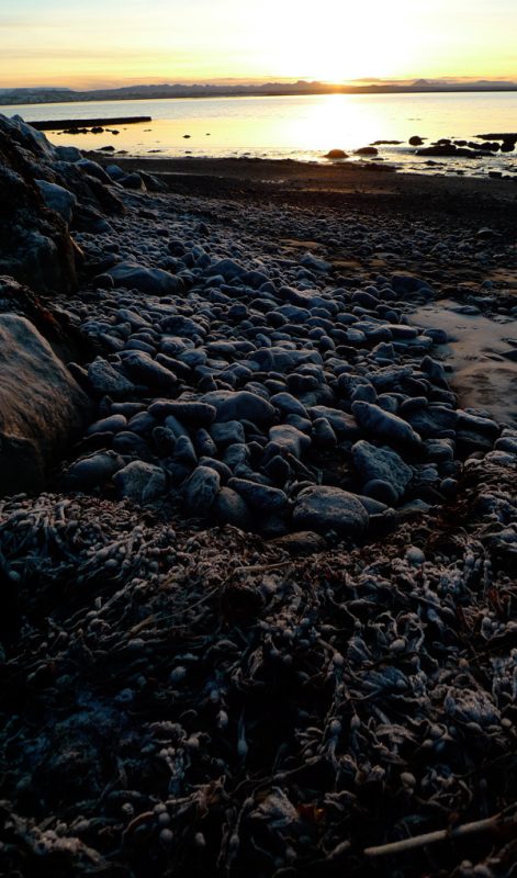 Tricoteuse d'Islande – Hélène Magnússon