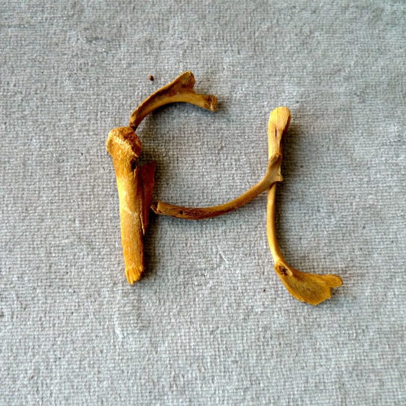 Tricoteuse d'Islande – Hélène Magnússon