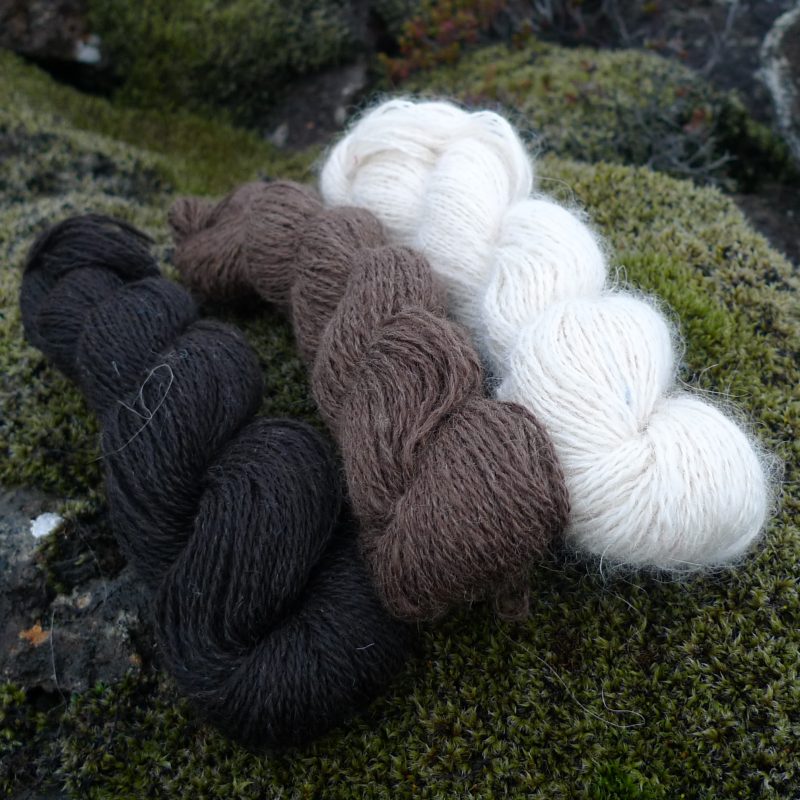 Tricoteuse d'Islande – Hélène Magnússon