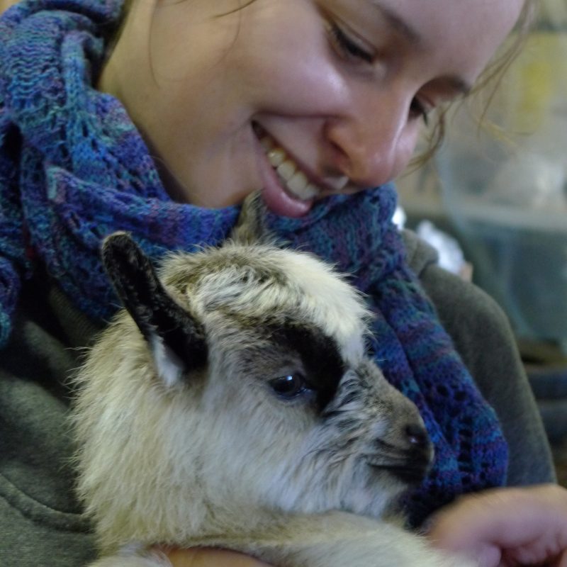 Tricoteuse d'Islande – Hélène Magnússon