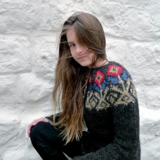 Alternative view of Mon pull islandais