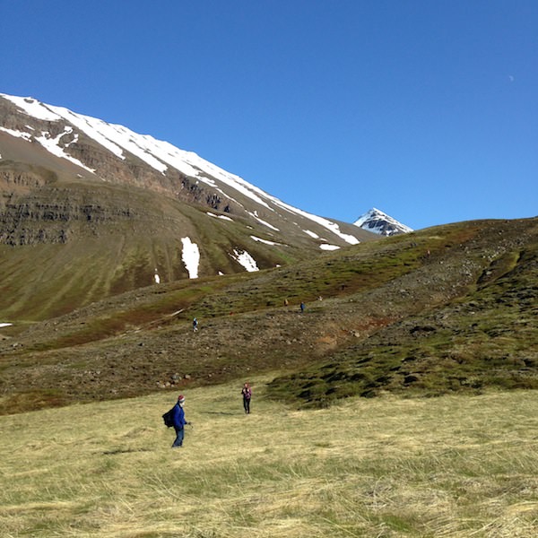 Tricoteuse d'Islande – Hélène Magnússon
