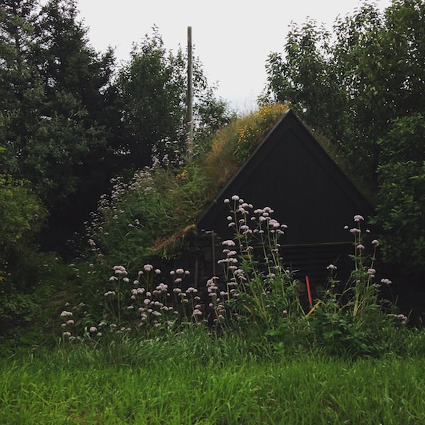 Tricoteuse d'Islande – Hélène Magnússon