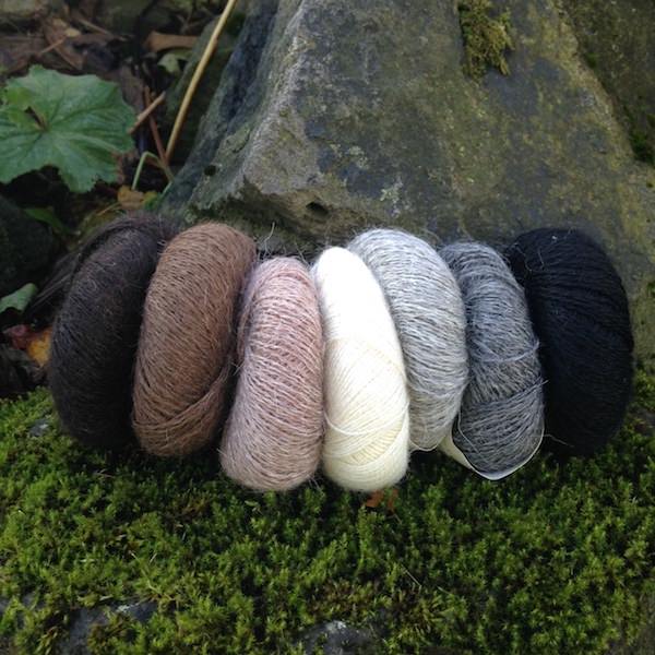 Tricoteuse d'Islande – Hélène Magnússon