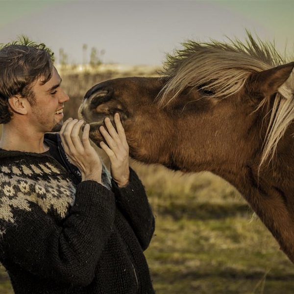 Tricoteuse d'Islande – Hélène Magnússon