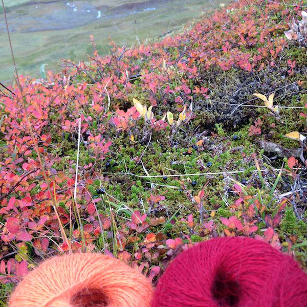 Tricoteuse d'Islande – Hélène Magnússon