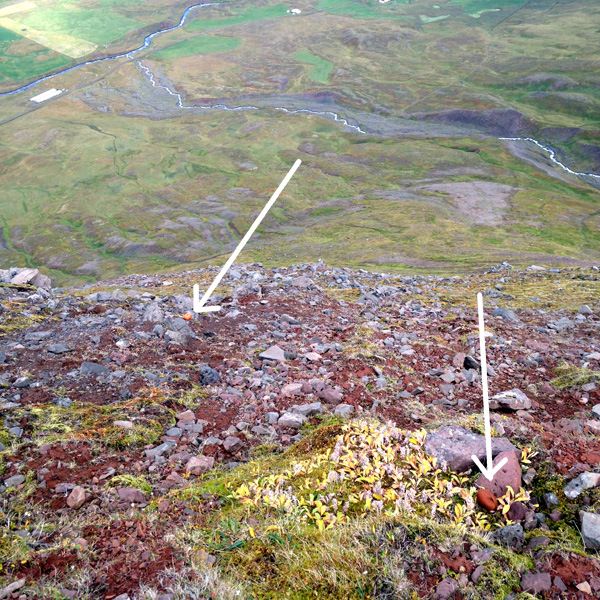 Tricoteuse d'Islande – Hélène Magnússon