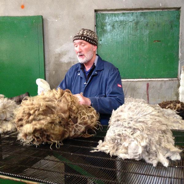 Tricoteuse d'Islande – Hélène Magnússon