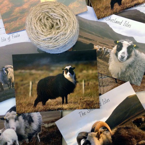 Tricoteuse d'Islande – Hélène Magnússon