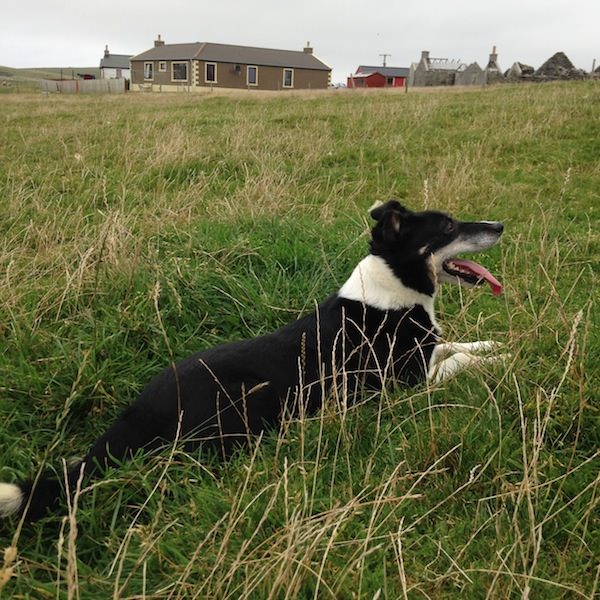 Tricoteuse d'Islande – Hélène Magnússon