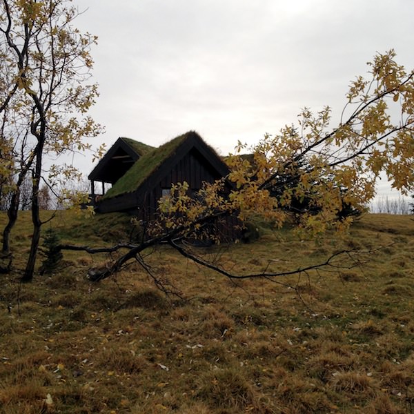 Tricoteuse d'Islande – Hélène Magnússon