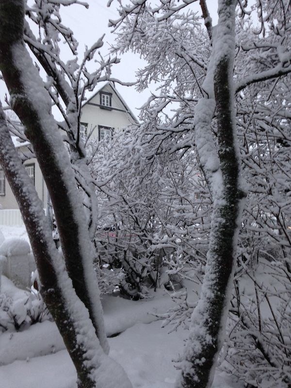 Tricoteuse d'Islande – Hélène Magnússon