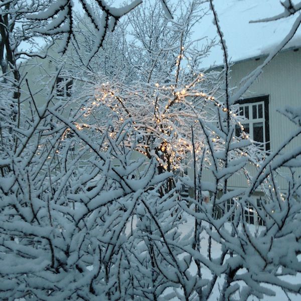 Tricoteuse d'Islande – Hélène Magnússon