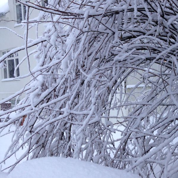 Tricoteuse d'Islande – Hélène Magnússon