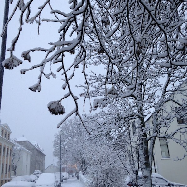 Tricoteuse d'Islande – Hélène Magnússon