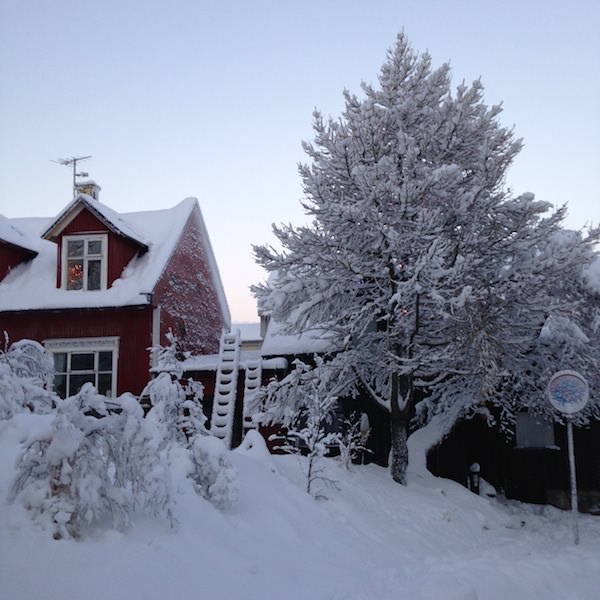 Tricoteuse d'Islande – Hélène Magnússon