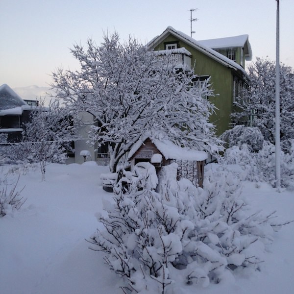 Tricoteuse d'Islande – Hélène Magnússon
