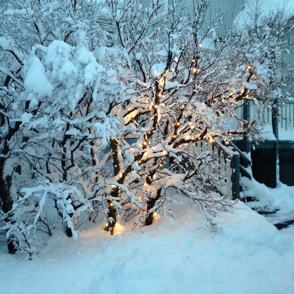 Tricoteuse d'Islande – Hélène Magnússon