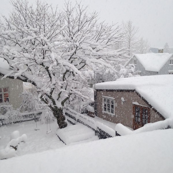 Tricoteuse d'Islande – Hélène Magnússon