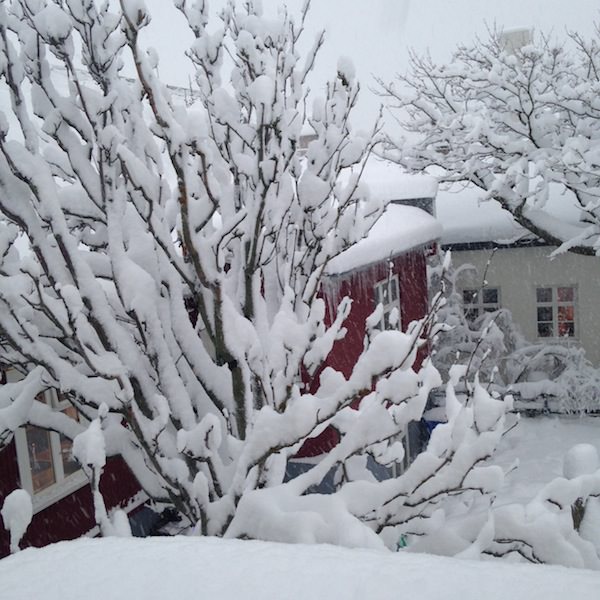 Tricoteuse d'Islande – Hélène Magnússon