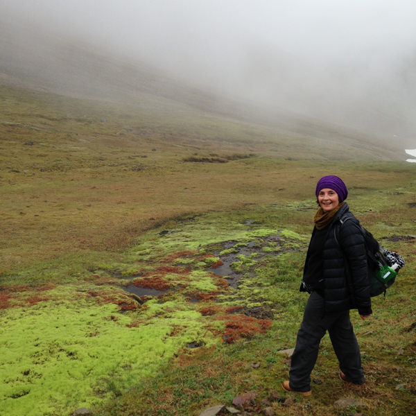 Tricoteuse d'Islande – Hélène Magnússon