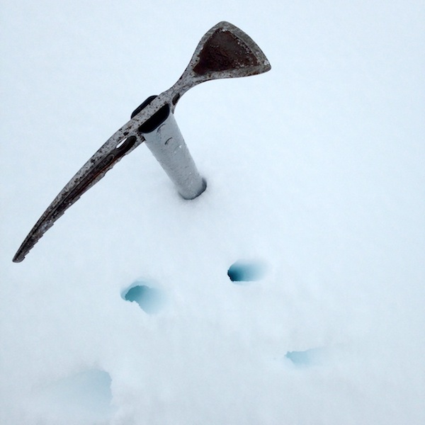 Tricoteuse d'Islande – Hélène Magnússon