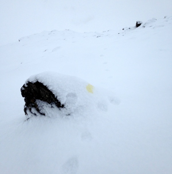 Tricoteuse d'Islande – Hélène Magnússon