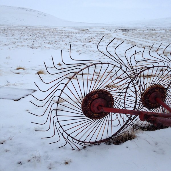 Tricoteuse d'Islande – Hélène Magnússon