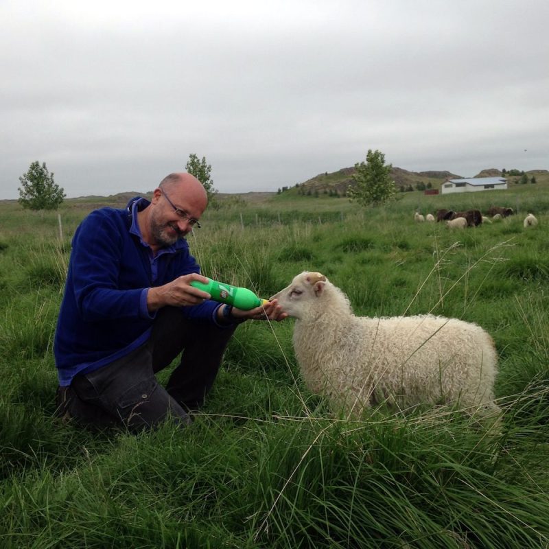Tricoteuse d'Islande – Hélène Magnússon