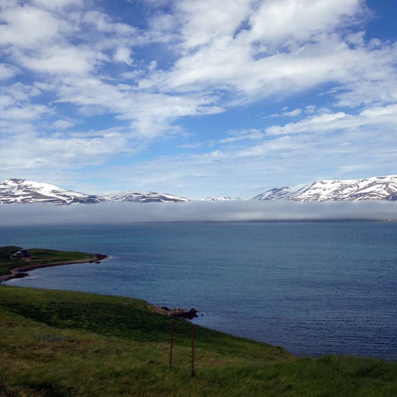 Tricoteuse d'Islande – Hélène Magnússon