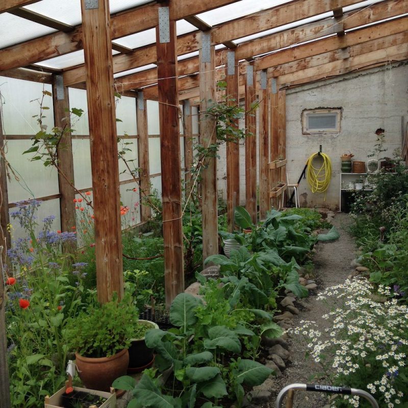 Tricoteuse d'Islande – Hélène Magnússon