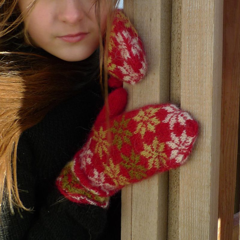 Tricoteuse d'Islande – Hélène Magnússon