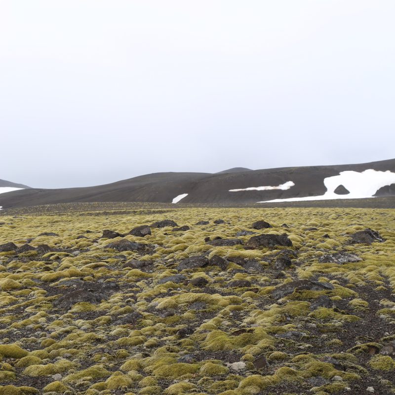 Tricoteuse d'Islande – Hélène Magnússon