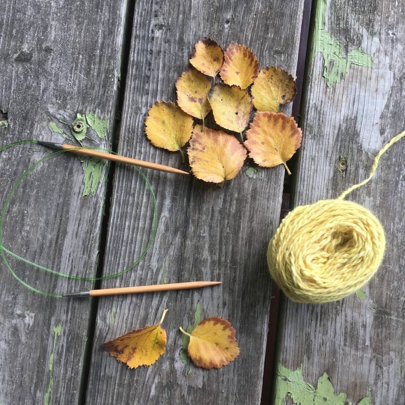 Tricoteuse d'Islande – Hélène Magnússon