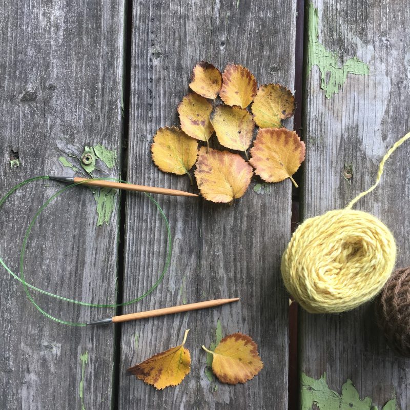 Tricoteuse d'Islande – Hélène Magnússon