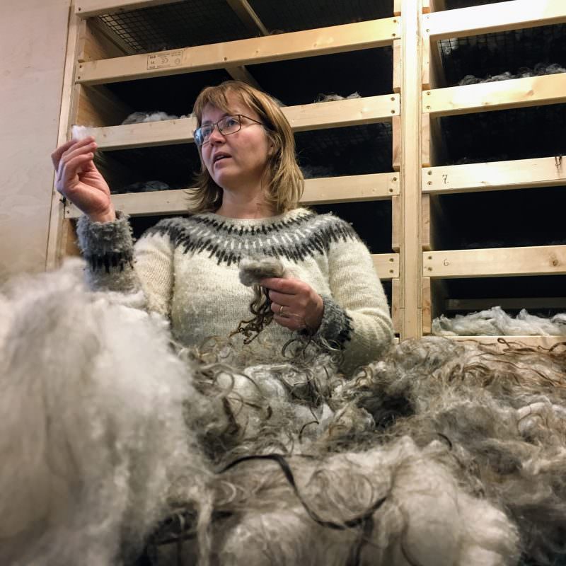 Tricoteuse d'Islande – Hélène Magnússon