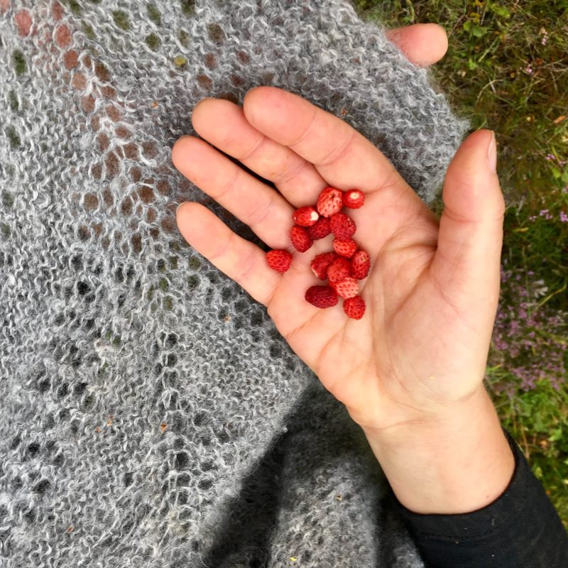 Tricoteuse d'Islande – Hélène Magnússon