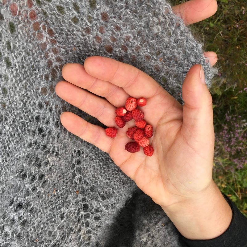 Tricoteuse d'Islande – Hélène Magnússon