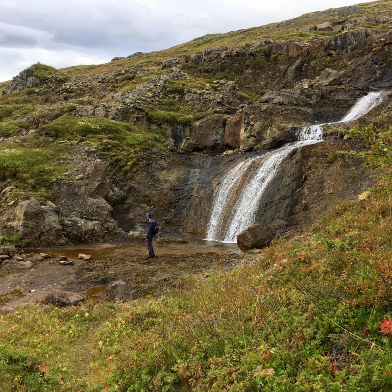 Tricoteuse d'Islande – Hélène Magnússon