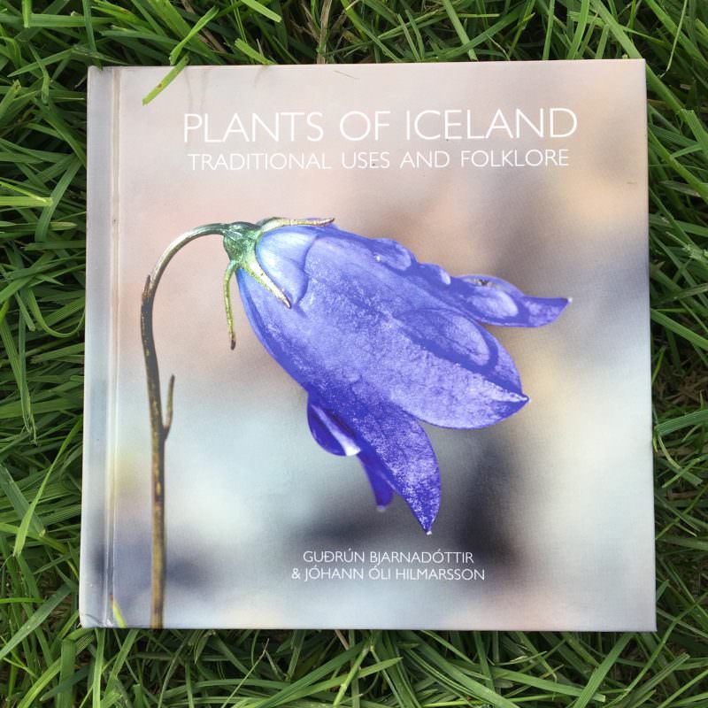Tricoteuse d'Islande – Hélène Magnússon