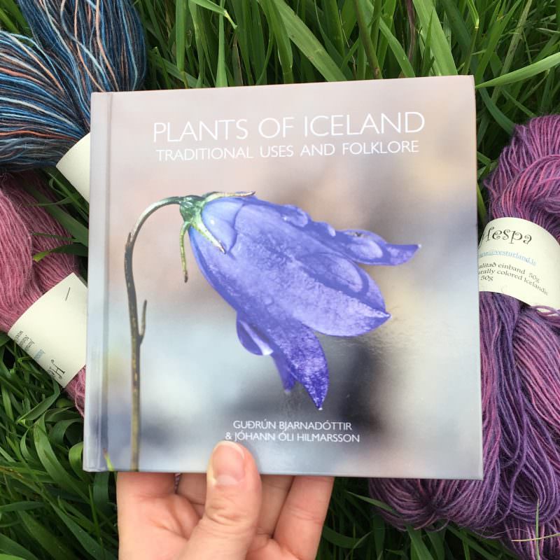Tricoteuse d'Islande – Hélène Magnússon